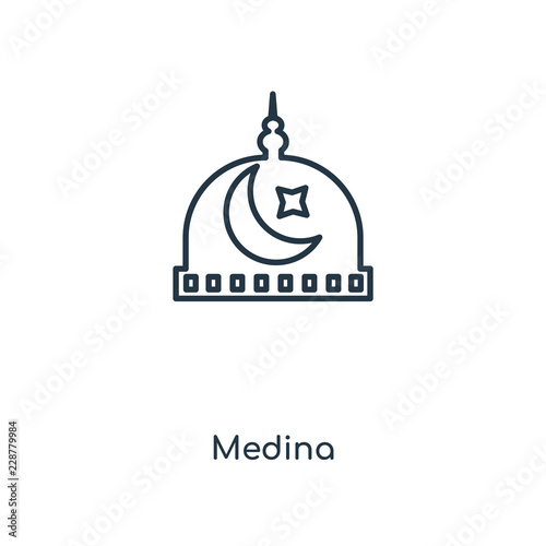 medina icon vector