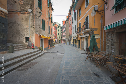 Fototapeta Naklejka Na Ścianę i Meble -  Historic buildings of Vernazza, Liguria, Italy, typical street