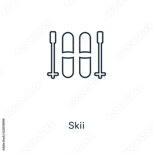 skii icon vector