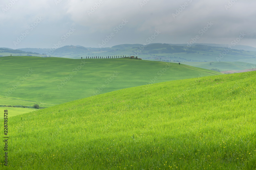 Beautiful landscape in Tuscany. Italy