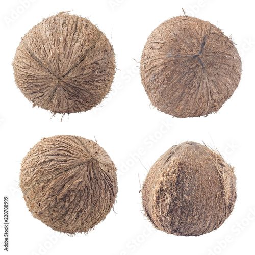 coconuts isolated on white background clipping path