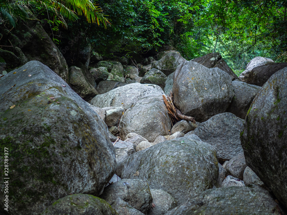 Piles of stones in the jungle Piles of stones in the jungle