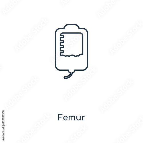 femur icon vector