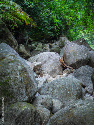 Piles of stones in the jungle