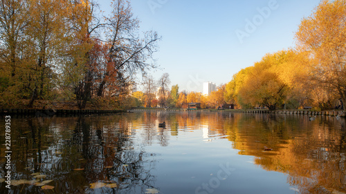 autumn landscape with lake and trees