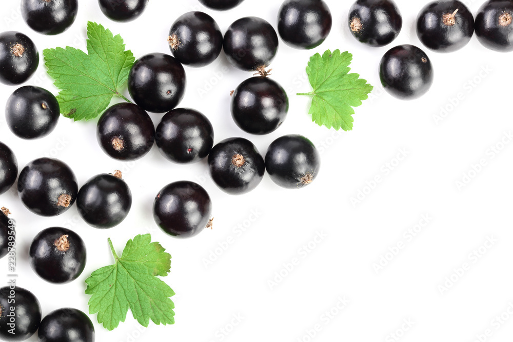 black currant with leaves isolated on white background with copy space for your text. Top view. Flat lay pattern black currant with leaves isolated on white background with copy space for your text. Top view. Flat lay pattern