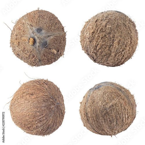 coconuts isolated on white background clipping path