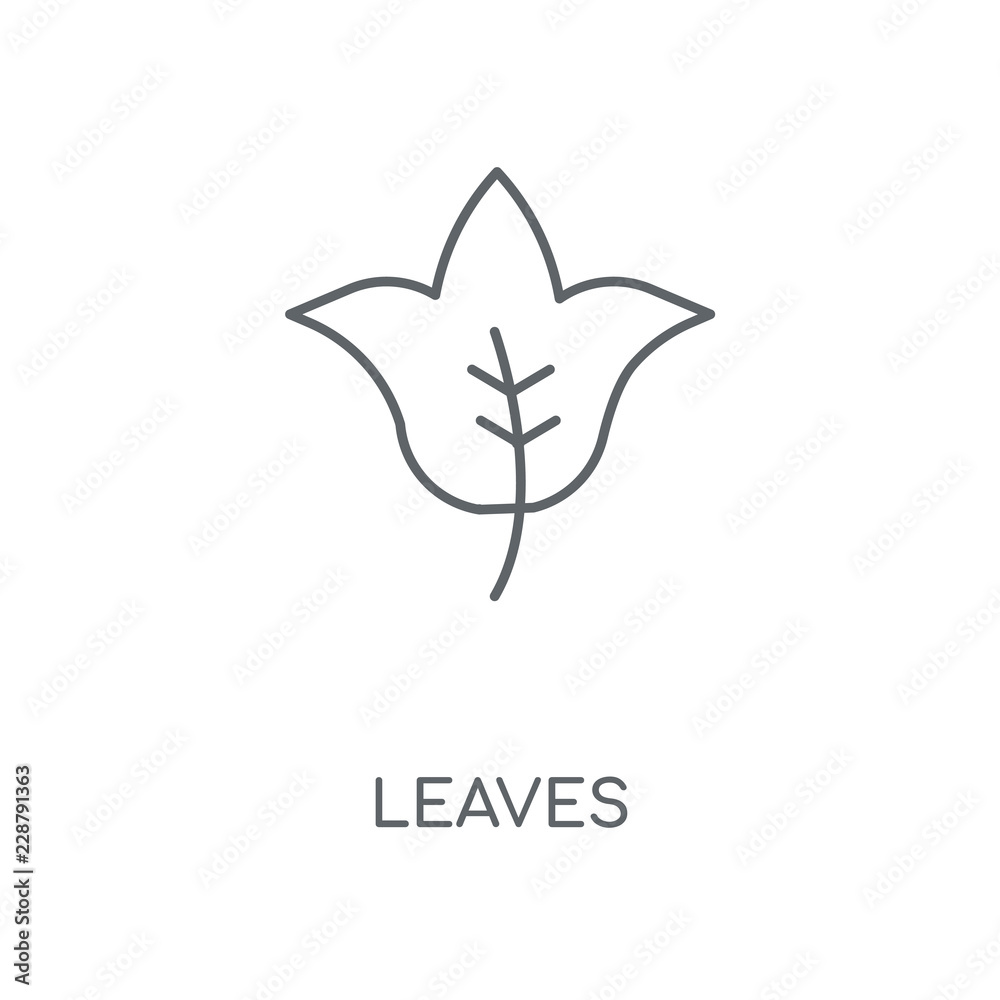 Fototapeta premium leaves icon