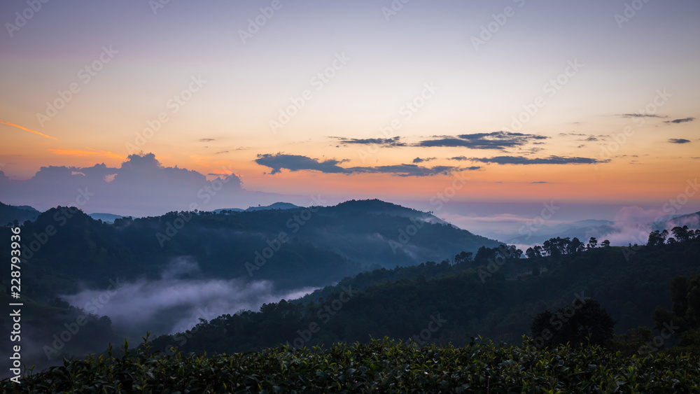 Sunrise in mountain at Doi Mae Salong Mae Fah Luang, Chiang Rai Thailand. Panorama landscape.