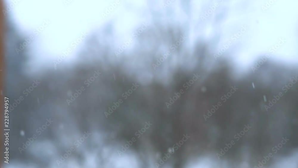Snow Fall in Super Slow Motion. Snow Fall in Super Slow Motion.