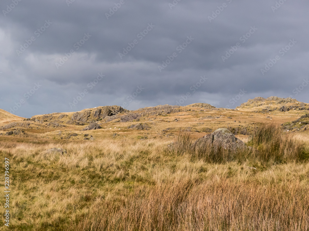 Golden rocky meadow against a stormy sky-2