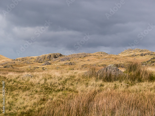 Golden rocky meadow against a stormy sky-2 © Kimberley W Hinson