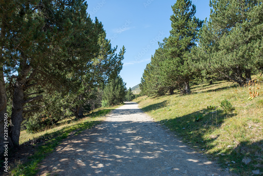 Obraz premium Mountains in Montgarri under blue sky, Valley of aran