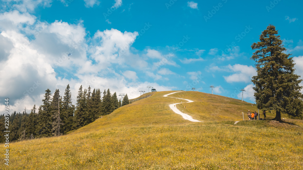 Beautiful alpine view at Zell am See - Zeller See - Salzburg - Austria