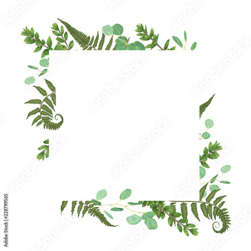 Vector card floral design with green watercolor, eucalyptus, forest fern, herbs, eucalyptus, branches boxwood, buxus, botanical green, decorative frame, square