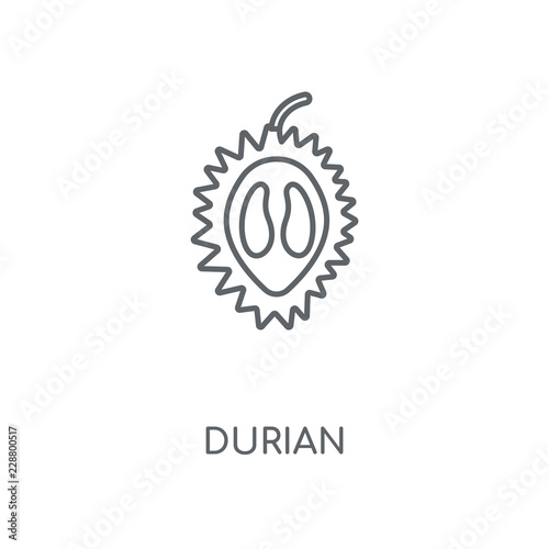 durian icon