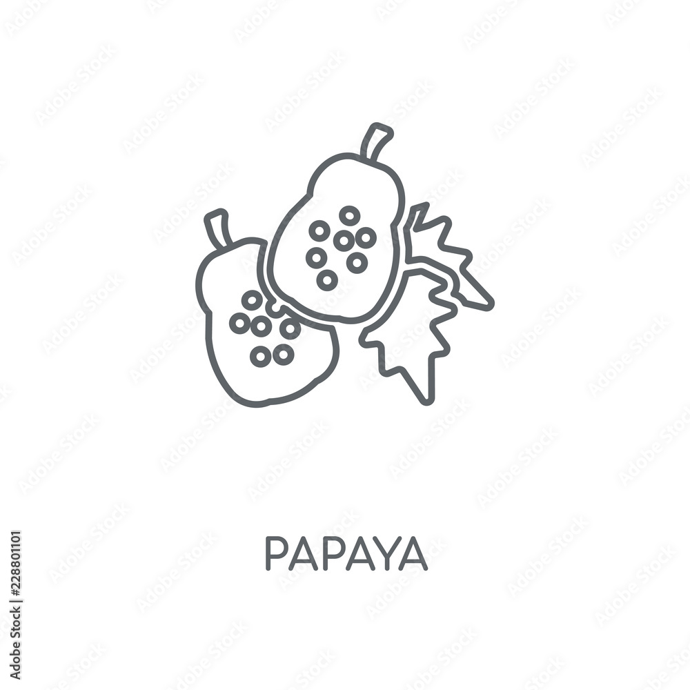 Fototapeta premium papaya icon