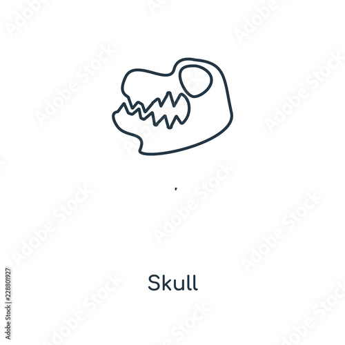 skull icon vector