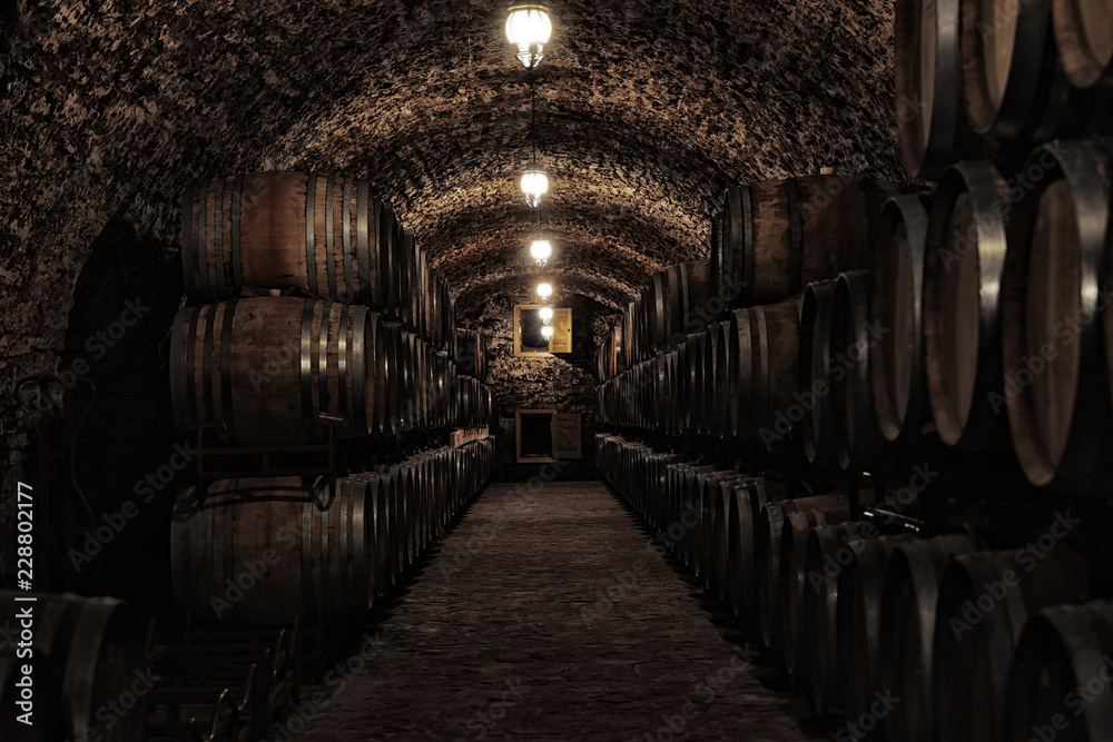 Wine cellar interior with large wooden barrels