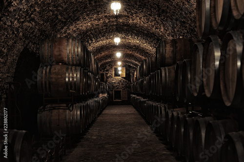 Fotografia, Obraz Wine cellar interior with large wooden barrels