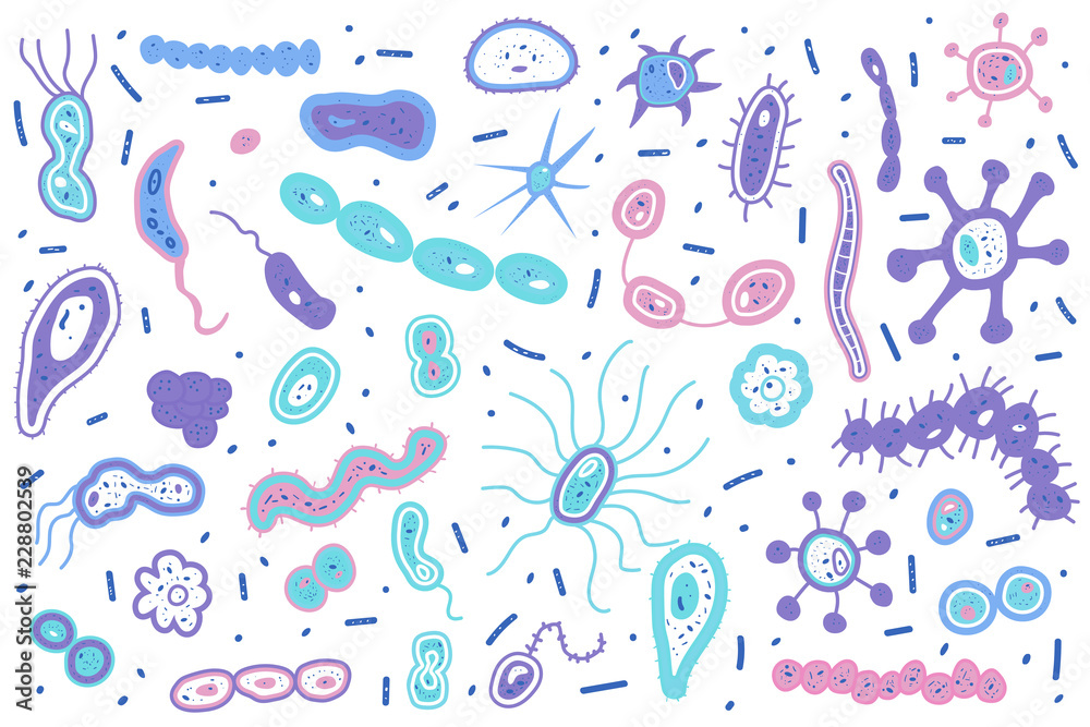 Bacteria cells set composition. Vector illustration. Bacteria cells set composition. Vector illustration.