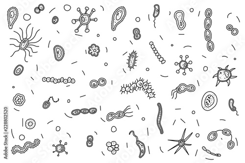 Bacteria cells set composition. Vector illustration.