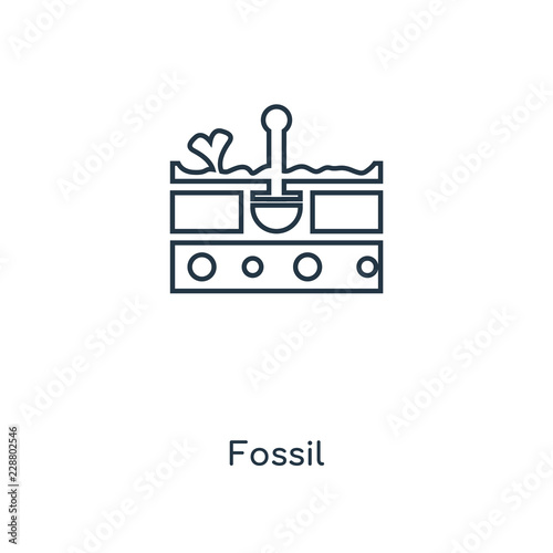 fossil icon vector