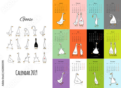 Funny goose, calendar 2019 design