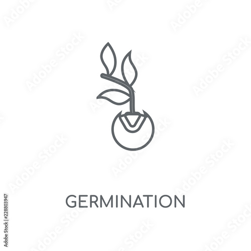 germination icon