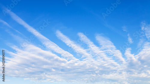 Fototapeta Naklejka Na Ścianę i Meble -  panoramic view of blue sky with palm shaped clouds