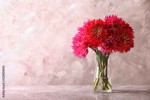 Fototapeta Naklejka Na Ścianę i Meble -  Beautiful dahlia flowers in glass vase on table against color background. Space for text