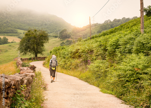 Lonely Pilgrim with backpack walking the Camino de Santiago in Spain, Way of St James photo