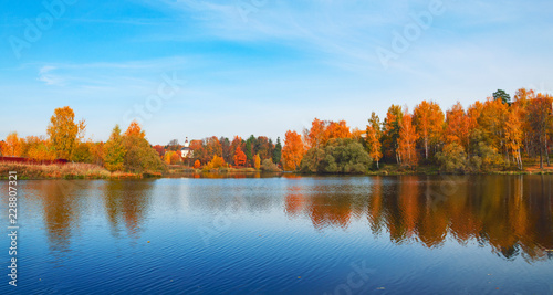 Sunny bright colorful autumn landscape with trees growing on the bank of the pond and beautiful reflection on the water surface.