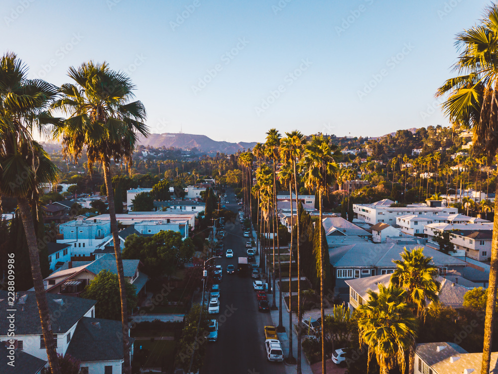Beverly Hills street with palm trees at sunset in Los Angeles with