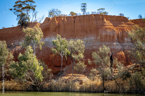 Landscape view of the red banded cliffs on the banks of the Murray River near Mildura in Victoria, Australia. photo