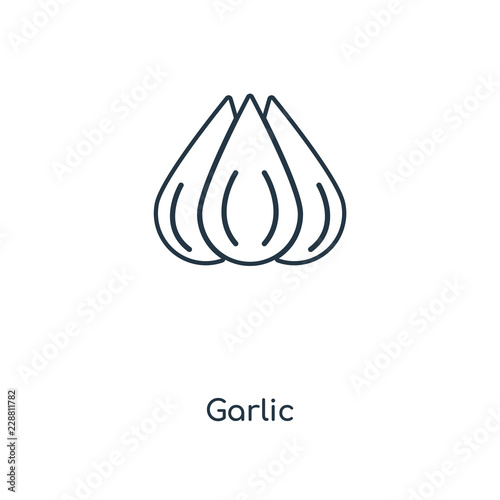 garlic icon vector