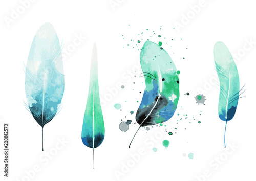 vector colorful watercolor feather set