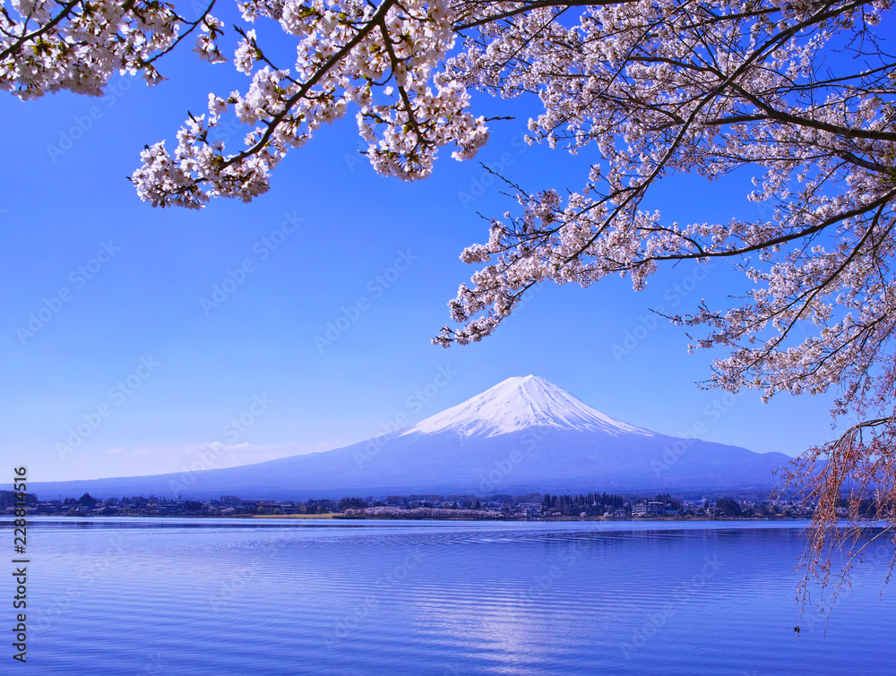 河口湖北岸から見る満開の桜と富士山

