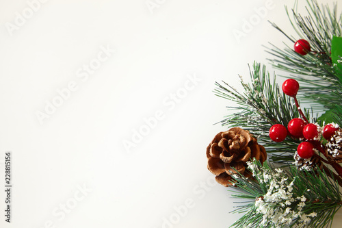 Christmas tree branches, berries, pine cones on white background.