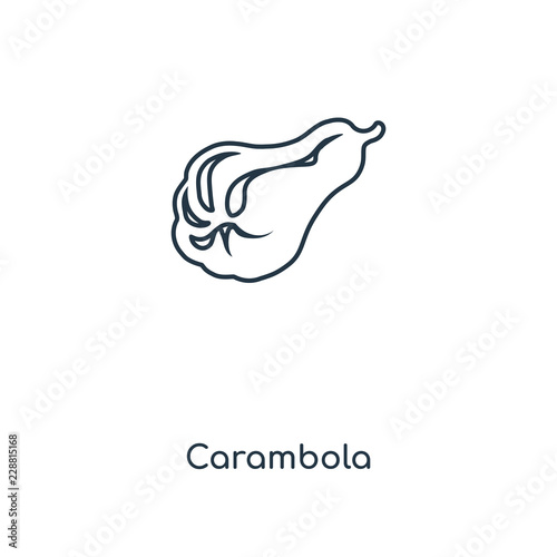 carambola icon vector
