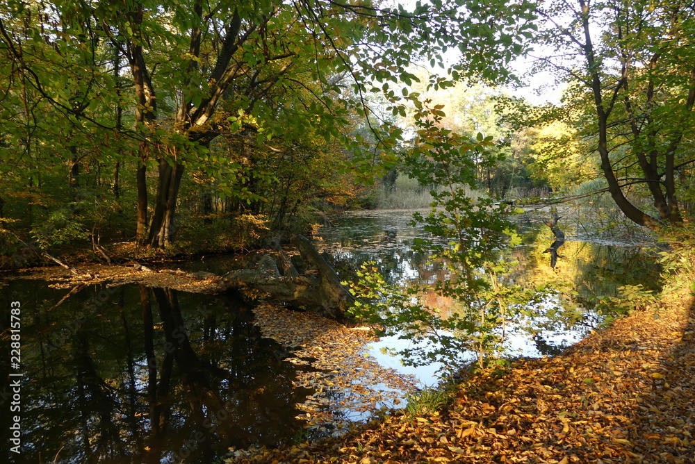 Naturpark Seebenstein