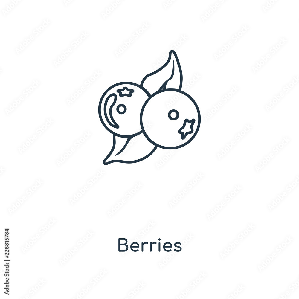 blueberries icon vector blueberries icon vector