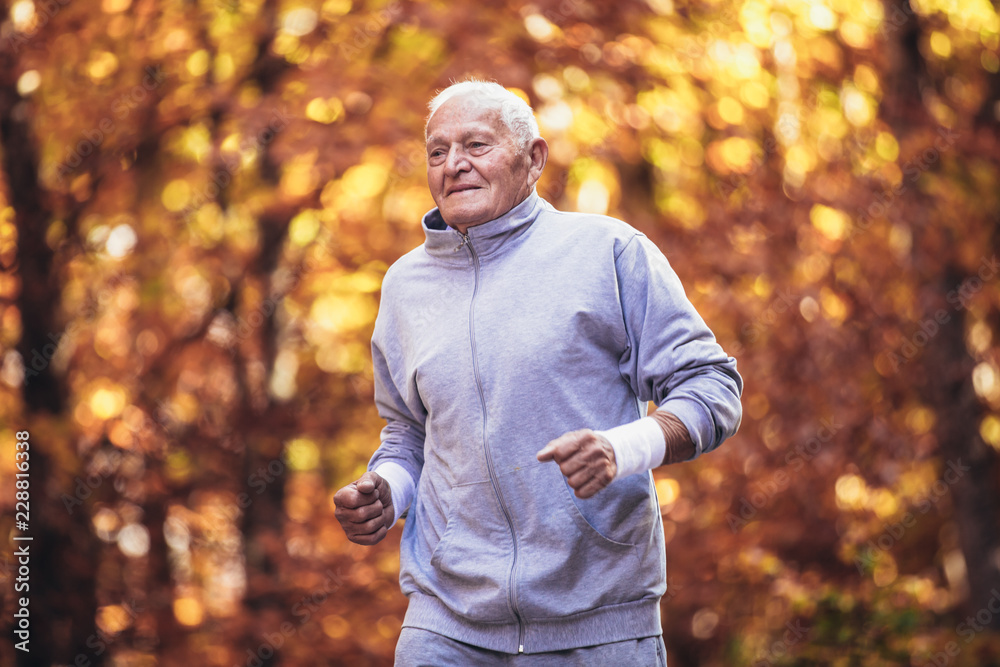 Fototapeta Senior runner in nature. Elderly sporty man running in forest during morning workout. Healthy and active lifestyle at any age concept