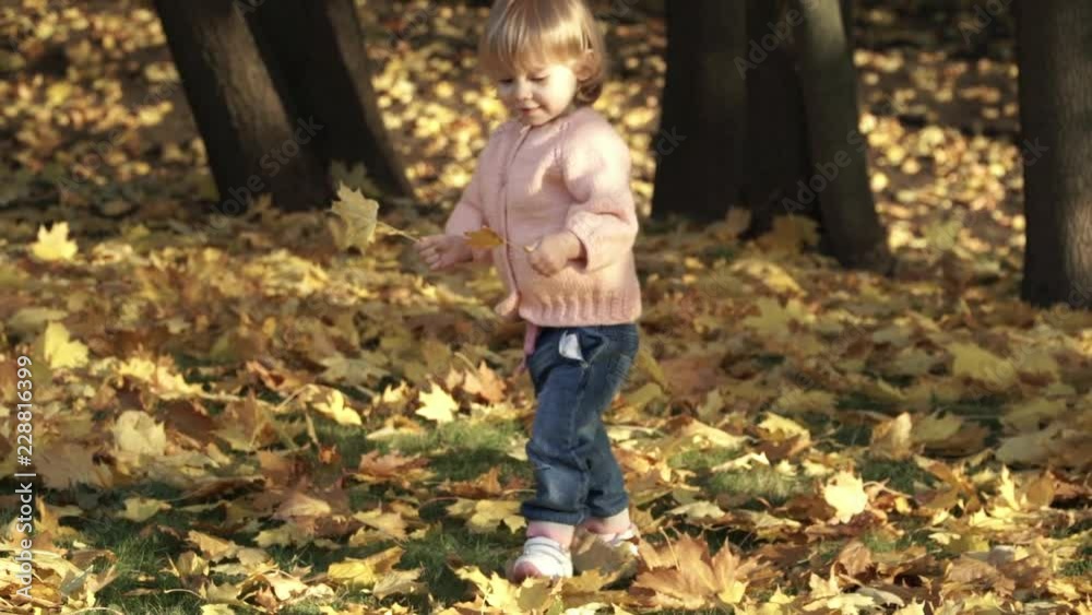 Little girl runs and laughs in autumn park at sunset. Happy child plays and throws yellow maple leaves outdoors. Little girl runs and laughs in autumn park at sunset. Happy child plays and throws yellow maple leaves outdoors.