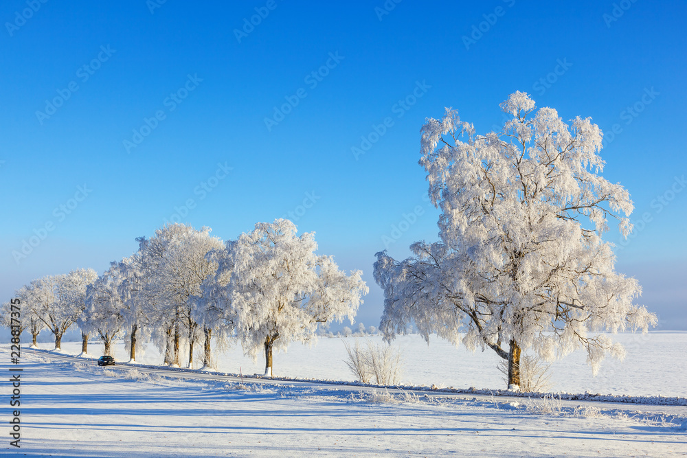 Road with a treeline in a beautiful winter landscape and a driving car Road with a treeline in a beautiful winter landscape and a driving car