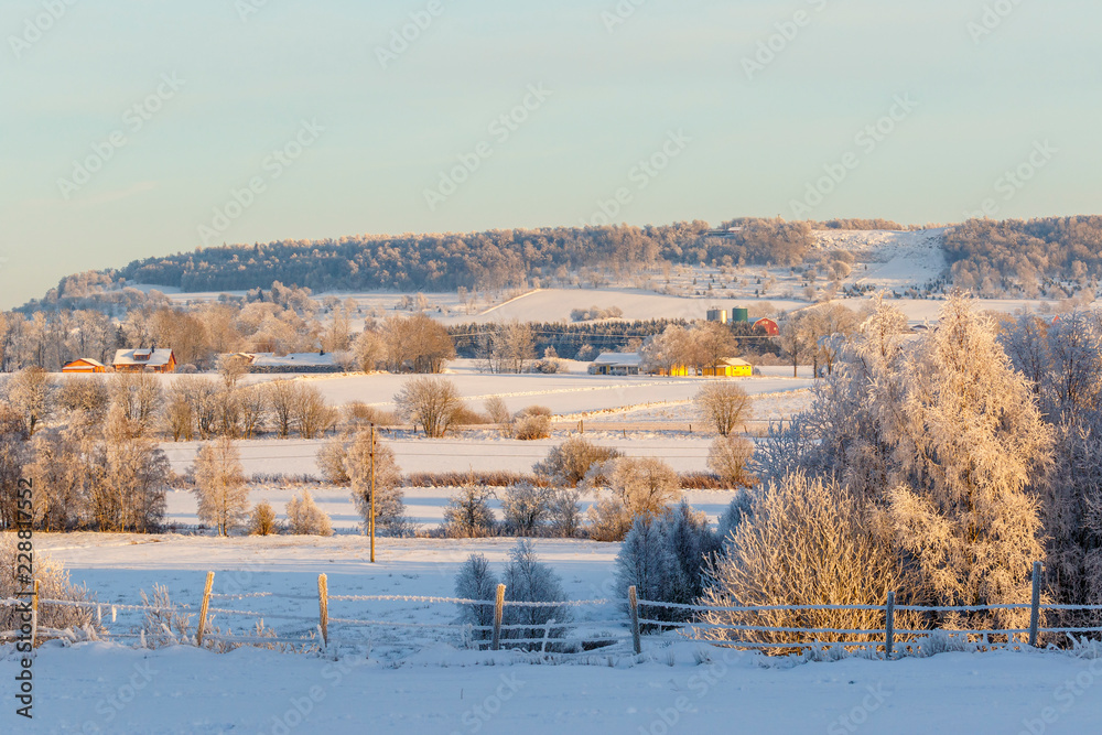 Fototapeta premium Winter landscape in the countryside