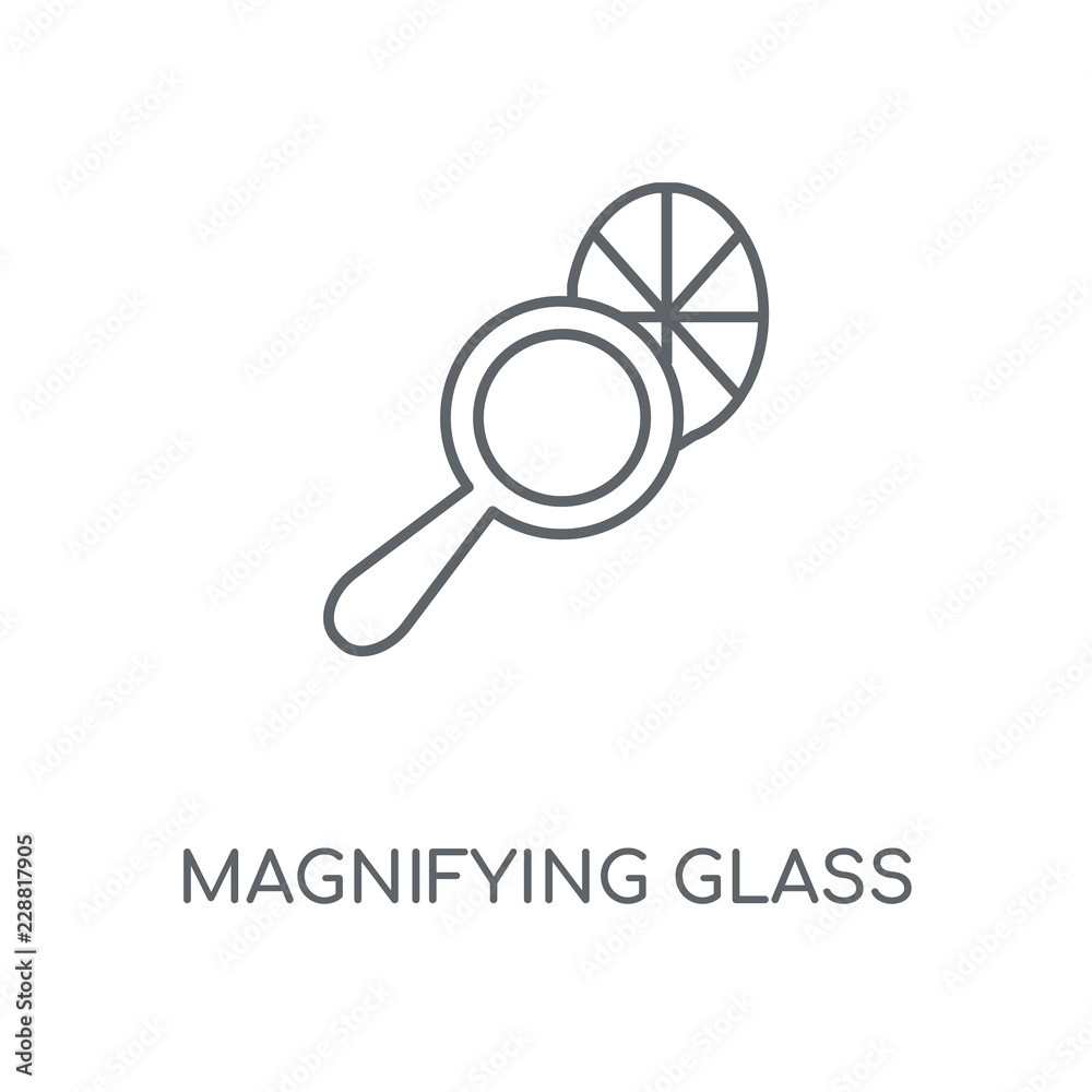 magnifying glass icon