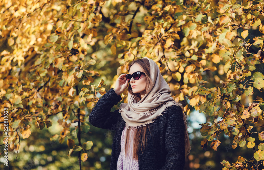 portrait of a rich lady in a scarf and sunglasses in the autumn park portrait of a rich lady in a scarf and sunglasses in the autumn park
