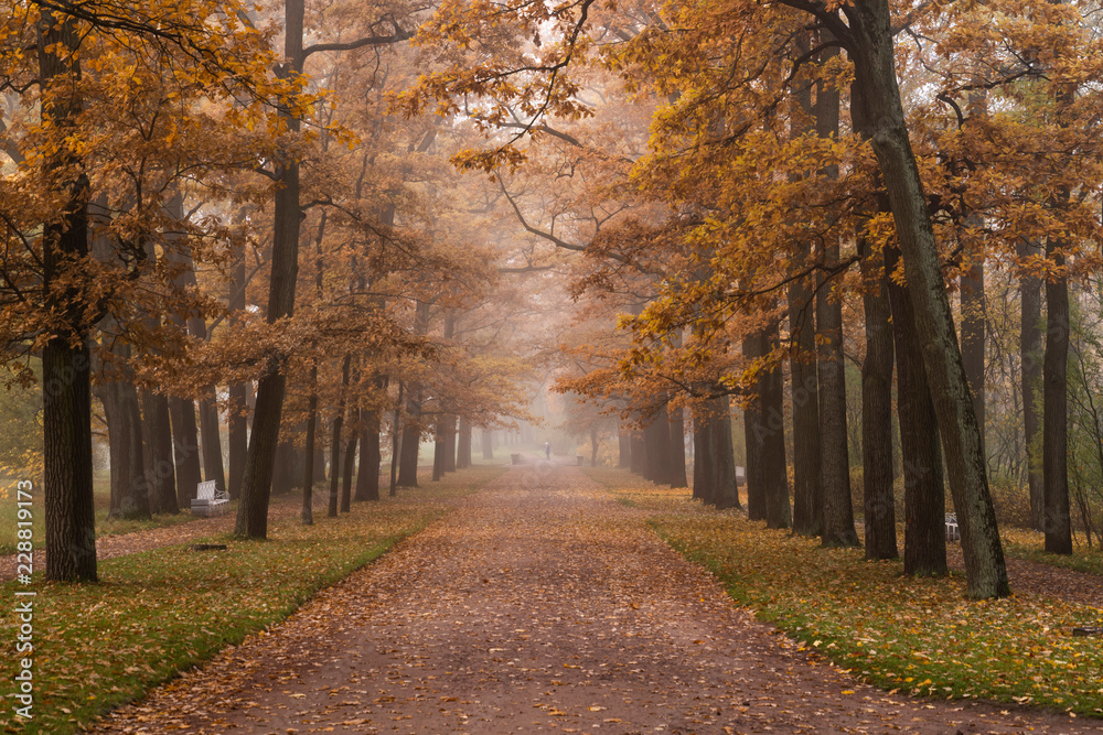 Catherine park in Pushkin, Tsarskoye Selo, Saint Petersburg, Russia, October 2018 Catherine park in Pushkin, Tsarskoye Selo, Saint Petersburg, Russia, October 2018