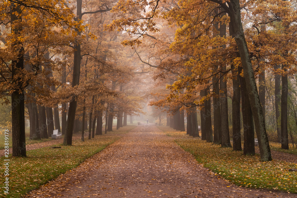 Catherine park in Pushkin, Tsarskoye Selo, Saint Petersburg, Russia, October 2018